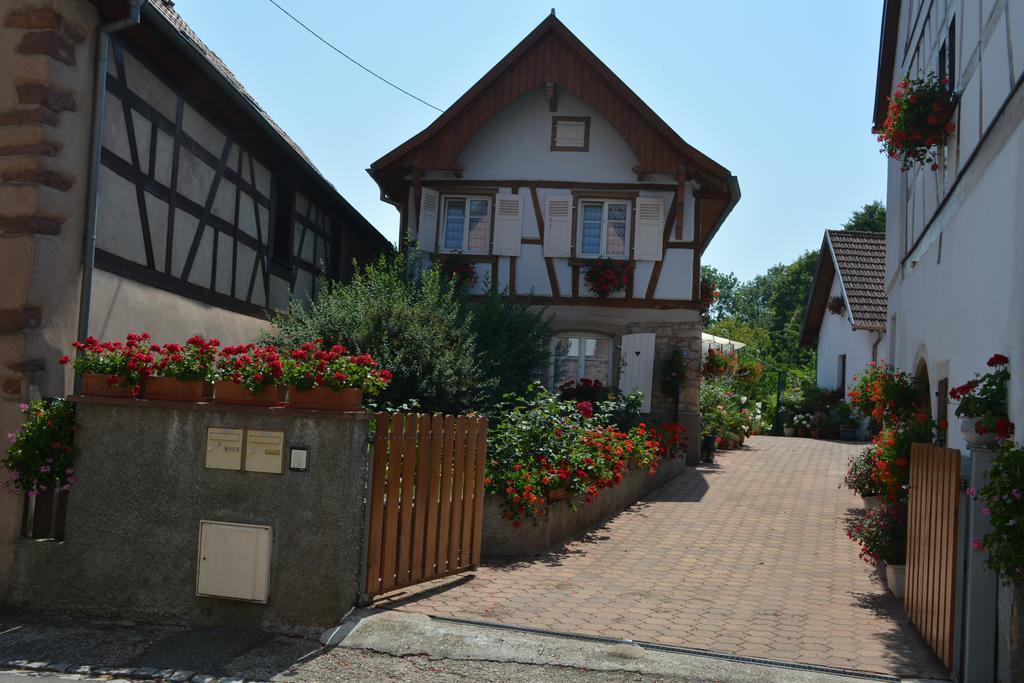 オットロット Location Aliceヴィラ 部屋 写真